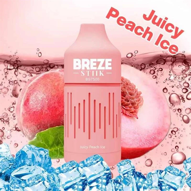 Vape de unică folosință BREZE STIIK BS7500