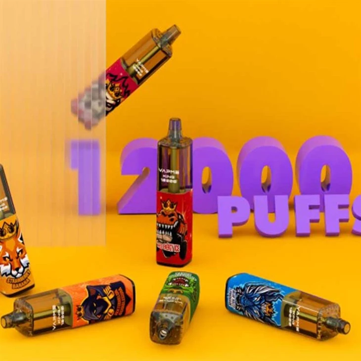 VAPME KING 12K