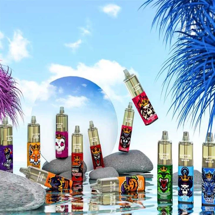 VAPME KING 12K
