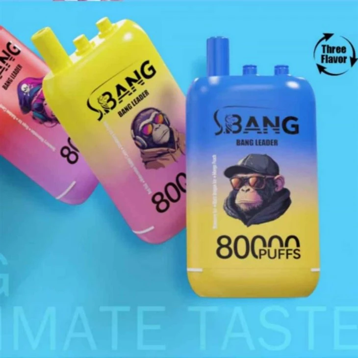 Bang Leader 80000 Puffs triplu aromă