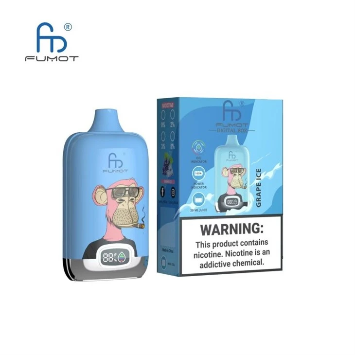 Cea mai bună calitate RandM Digital Box 12000 Puffs Vape en-gros