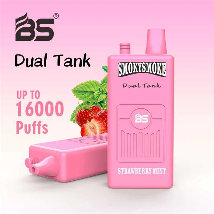 BS SMOKYSMOKE 16000