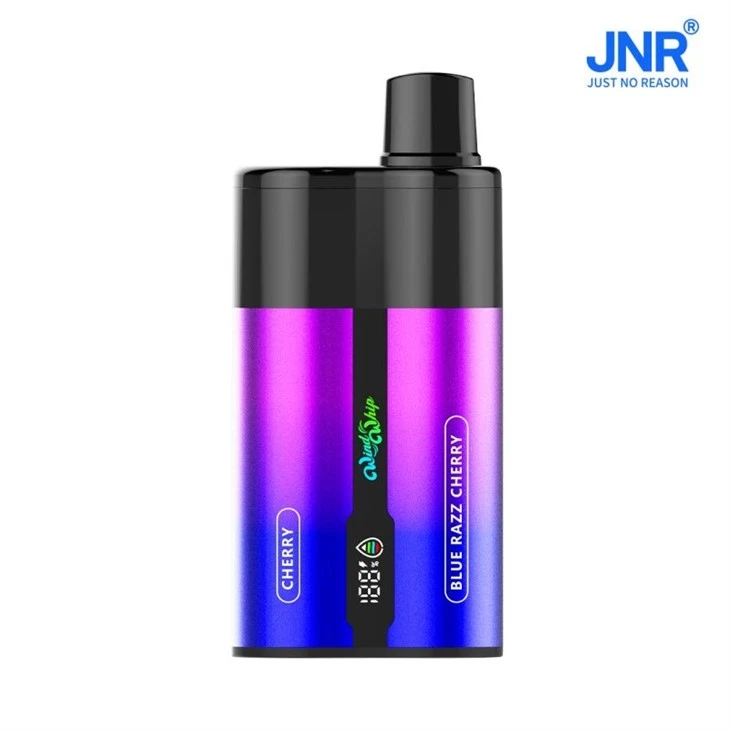 JNR WindWhip 44000 10