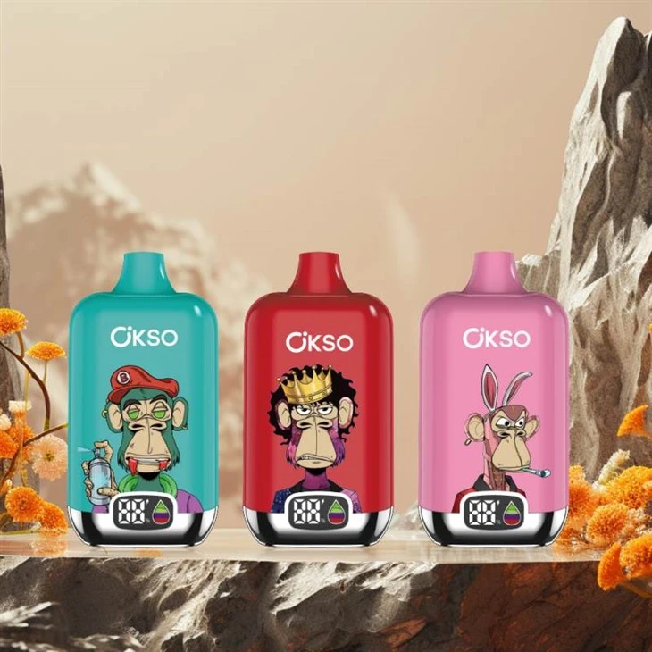 OKSO Digital Box 12K