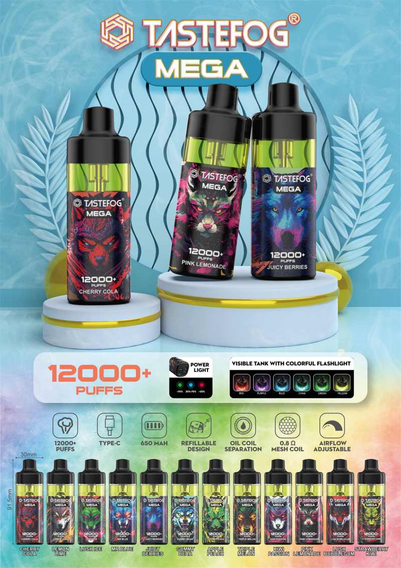 TASTEFOG MEGA 12000 111