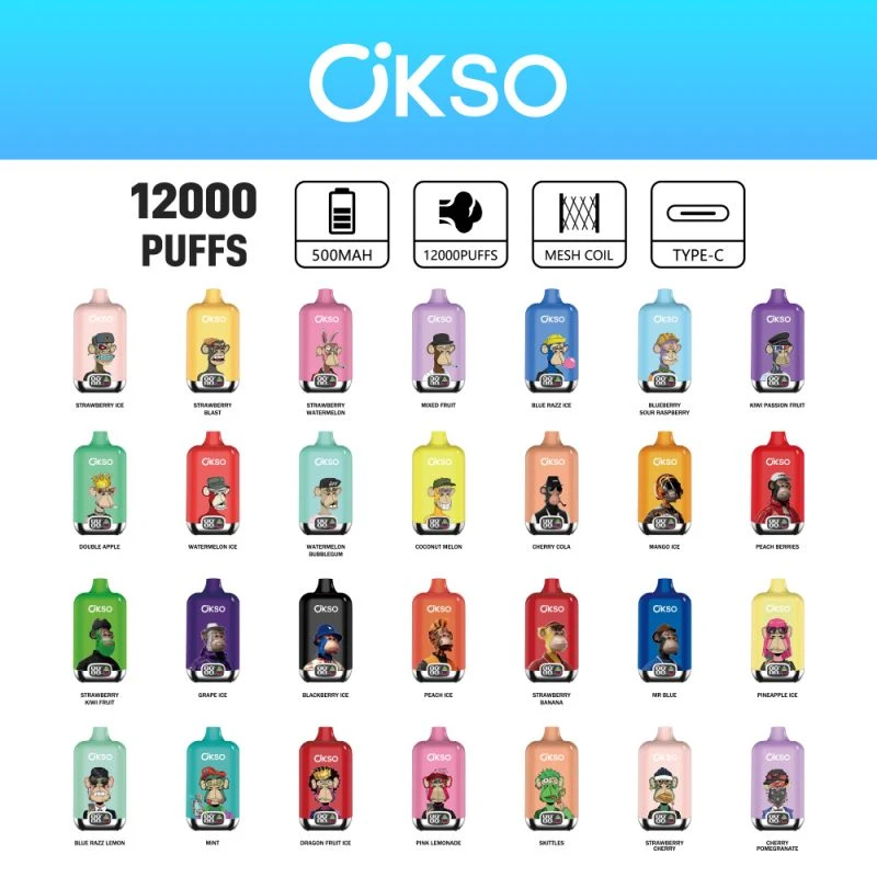 OKSO Digital box 12K 31