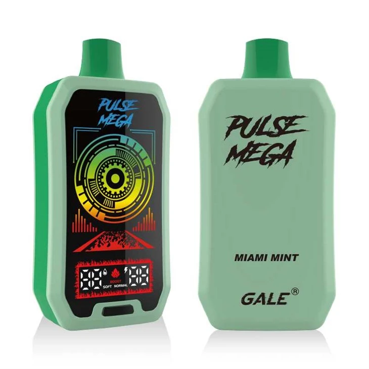 R&M PULSE MEGA 25000 pufături