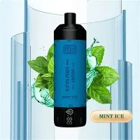 Vape de unică folosință BS KING MAX PRO 18000 PuffS