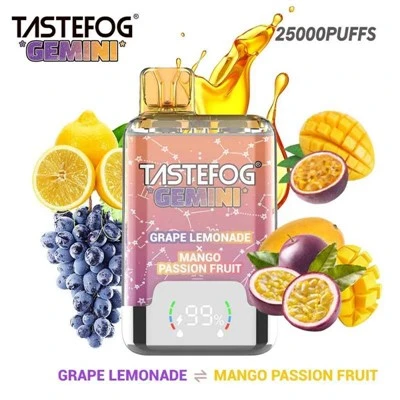 TASTEFOG GEMINI 25000