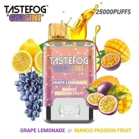 TASTEFOG GEMINI 25000