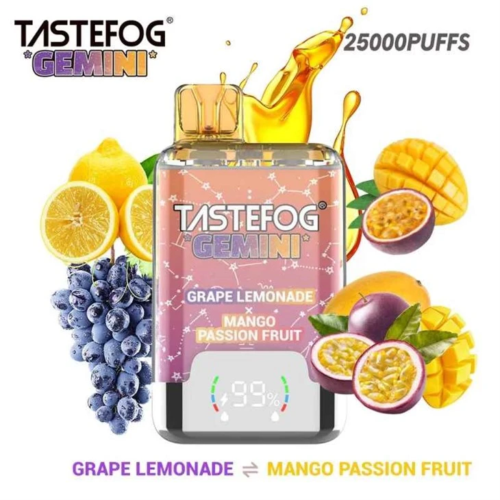 TasteFog Gemini 25000 Puffs