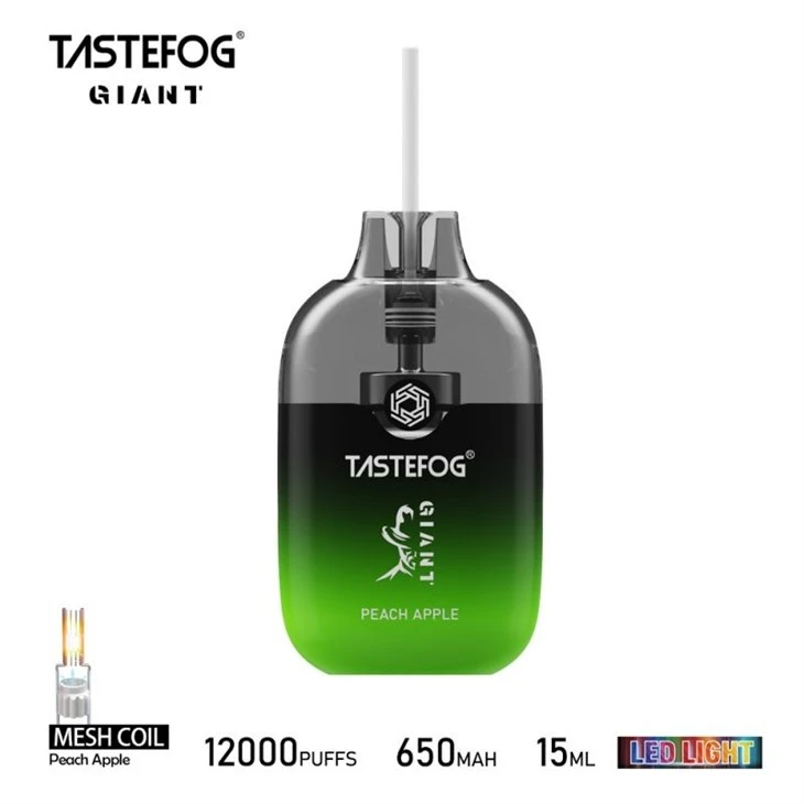 TASTEFOG GIANT 12000 2