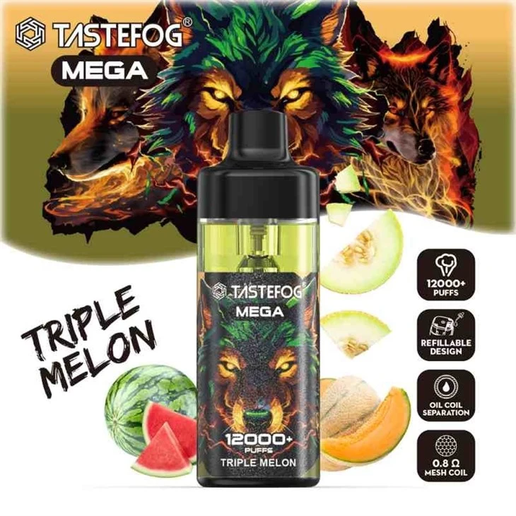 TASTEFOG MEGA 12000 29