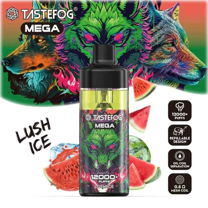 TASTEFOG MEGA 12000 23