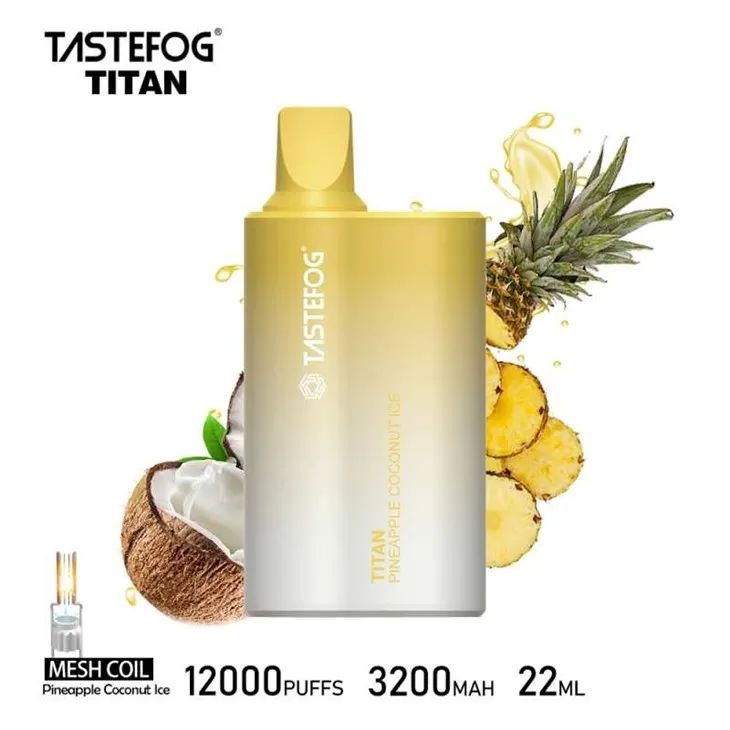 TASTEFOG TITAN 12000 9